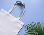 TOTE BAG ET PLANTE