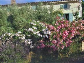 jardin concours aude fleurie