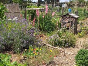 jardin concours aude fleurie