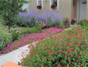jardin concours aude fleurie