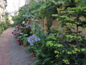 résidence concours aude fleurie