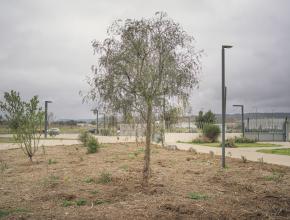 Végétalisation du collège rosa parks à Lézignan dans l'aude.