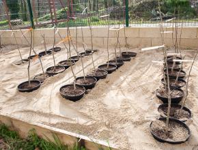 VISITE CHANTIER VOIE VERTE SAINTE-COLOMBE / TREZIERS