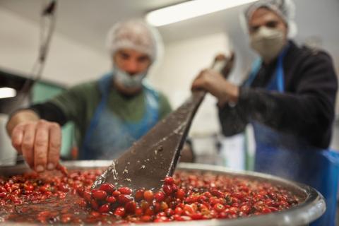 COOPERATIVE JARDINS DE LA HAUTE VALLEE
