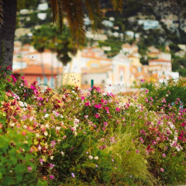 Massif de fleurs dans une commune
