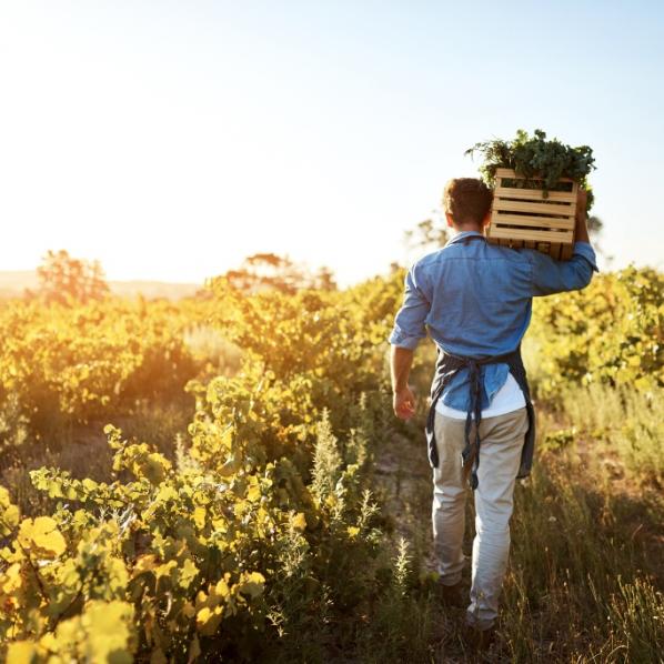 Agriculteur dans un champ