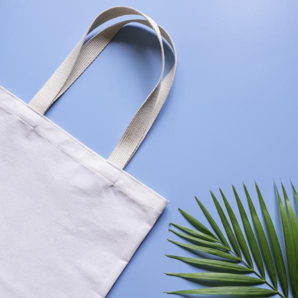 TOTE BAG ET PLANTE