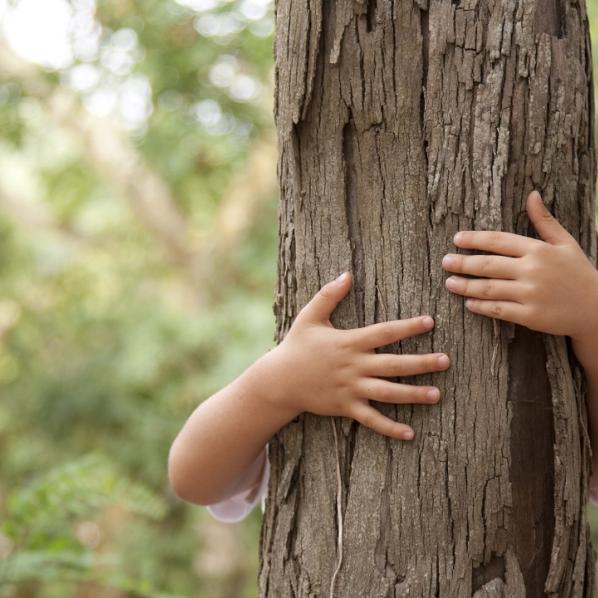BRAS D'ENFANT SERRANT UN TRONC D'ARBRE