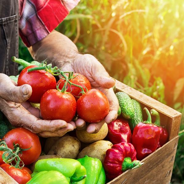 Panier de légumes frais
