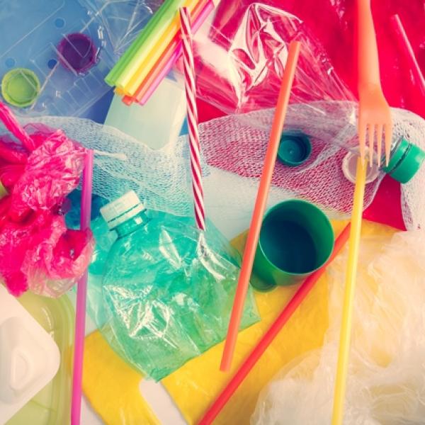 Toutes les sources de plastique à éliminer : bouteilles, sacs, pailles...