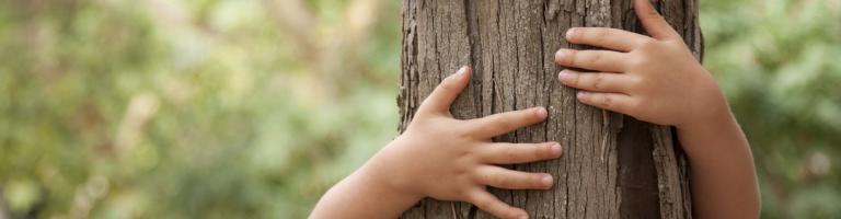BRAS D'ENFANT SERRANT UN TRONC D'ARBRE