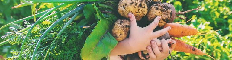 Les bons plans pour manger local