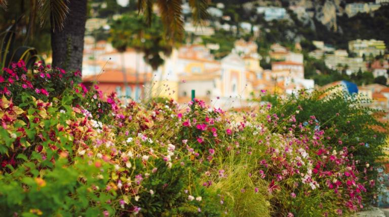 Massif de fleurs dans une commune