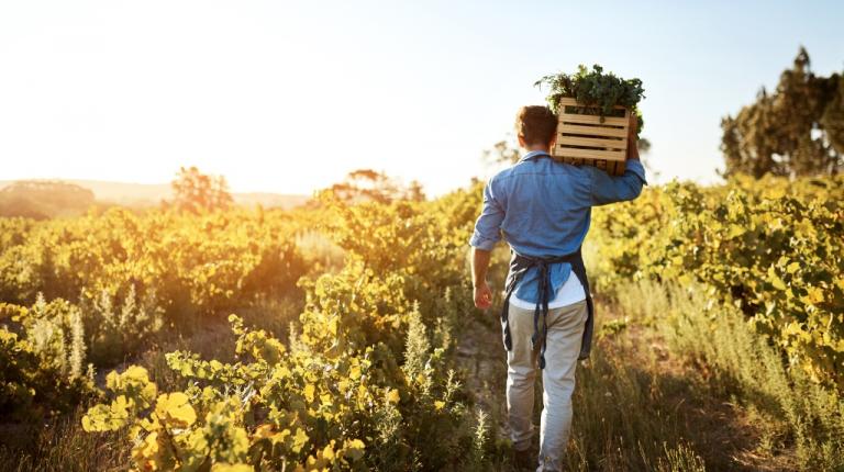 Agriculteur dans un champ