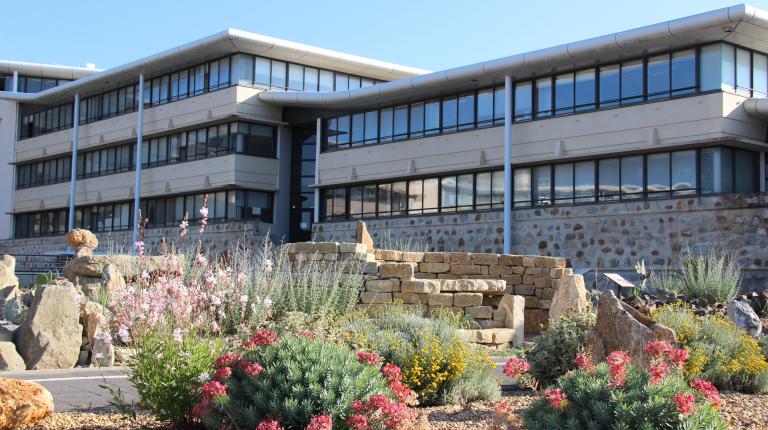 Carrière des plantes implantée devant l'hôtel du Département de l'Aude