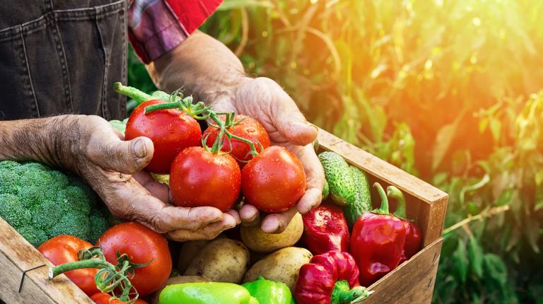 Panier de légumes frais