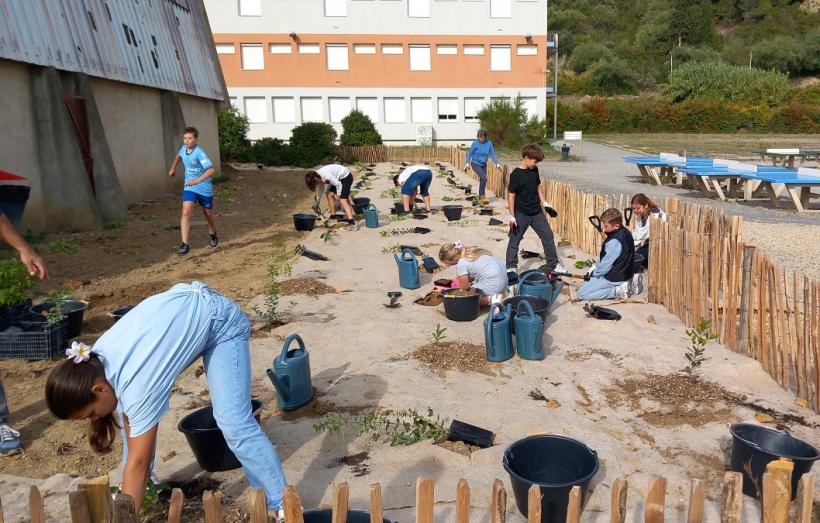 Opération de plantation au collège Delteil de Limoux