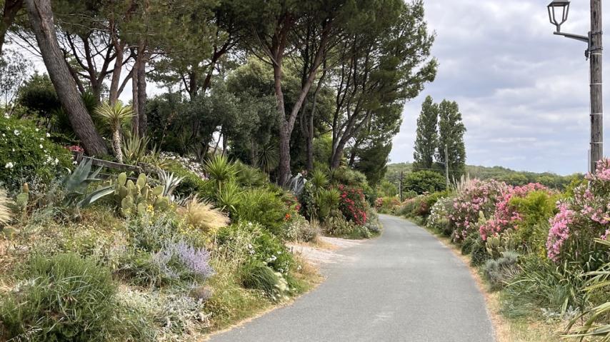 Tréville, 1er prix Aude Fleurie 2025 des communes de 101 à 300 habitants