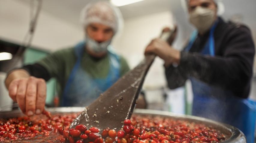 COOPERATIVE JARDINS DE LA HAUTE VALLEE