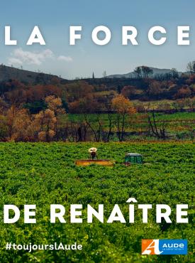 la force de renaître viticulteur vendangeant avec la garrigue brulée en arrière plan. Département de l'Aude