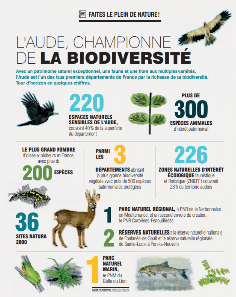 INFOGRAPHIE ESPACES NATURELS SENSIBLES AUDE - BIODIVERSITE